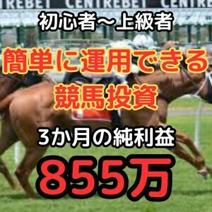 【競馬初心者でも簡単に運用が出来る競馬投資】　PDF　競馬　投資　ギャンブル　必勝法　運用　馬　馬券　天皇賞　秋華賞１　(4)