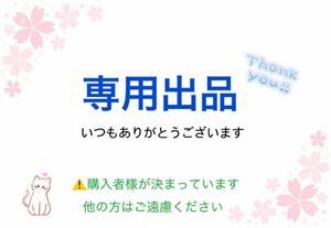 【専用出品】継母だけど娘が可愛いすぎる(2) 