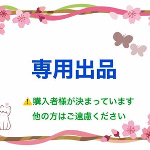 【専用出品】ぬいぐるみ(からあげくん)