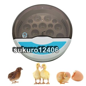  automatic . egg vessel in kyu Beta - go in egg 9 piece birds exclusive use . egg vessel inspection egg light built-in .. vessel chicken egg a Hill ... child education for automatic temperature control humidity guarantee .