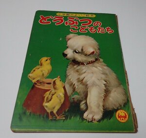 ●「小学館のよいこ絵本　どうぶつのこどもたち」　　岩崎良信　守田滋　坂本貫一　千地琇也