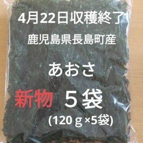 ４月22日収穫終了　鹿児島県長島町産　あおさ　あおさのり　乾燥あおさ