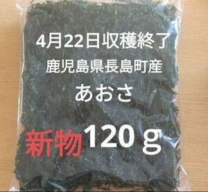 ４月22日収穫終了　鹿児島県長島町産　あおさ　あおさのり　乾燥あおさ