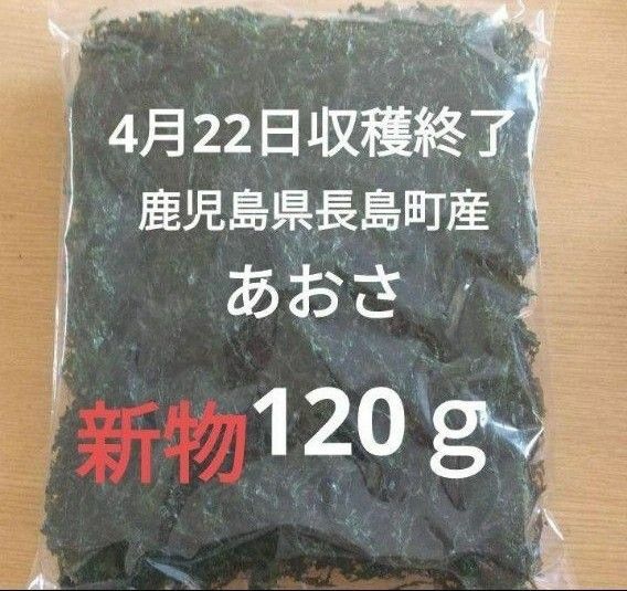 ４月22日収穫終了　鹿児島県長島町産　あおさ　あおさのり　乾燥あおさ