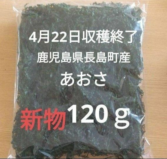 ４月22日収穫終了　鹿児島県長島町産　あおさ　あおさのり　乾燥あおさ