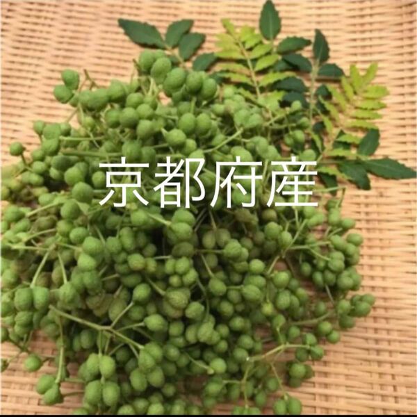 京都府産 山椒の実 無農薬 70g