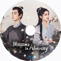 Blossoms in Adversity（自動「AI」翻訳）『Ep』中国ドラマ『Sp』Blu-ray「Hot」★5/16以降発送_画像2