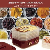 【送料無料】エナジーフードドライヤー ドライフルーツメーカー 食品乾燥機_画像4