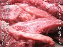 1円【1数】黒毛和牛特選ヒレ[かぶり]500g★4129屋★焼肉/BBQ/希少部位/柔らかい/ステーキ/_画像3