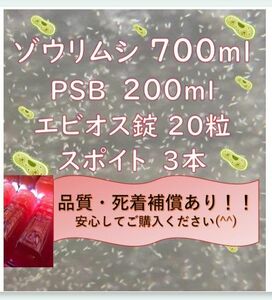 ゾウリムシ、エビオス錠、PSB、スポイトのセット!!