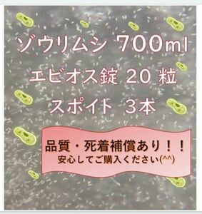 ゾウリムシ、エビオス錠、スポイトのセット!!(^o^)