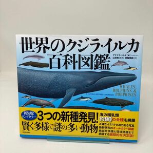 世界のイルカ・クジラ百貨図鑑