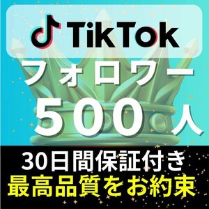 【安心安全★高品質★低価格★【TikTokフォロワー500人】♪おまけ♪便利なSNS増加ツール！ SNS YouTube Instagram 他