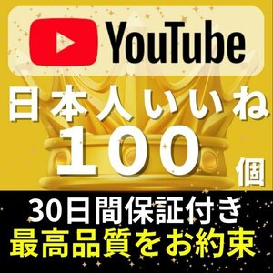 【安心安全★高品質★低価格★【YouTube日本人いいね100個】♪おまけ♪便利なSNS増加ツール！ SNS YouTube TikTok 他