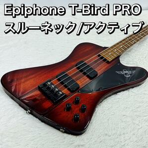 Epiphone T-Bird PRO スルーネック/アクティブイコライザー