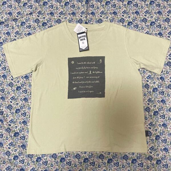 Tシャツ グリーン系 Mサイズ 未使用