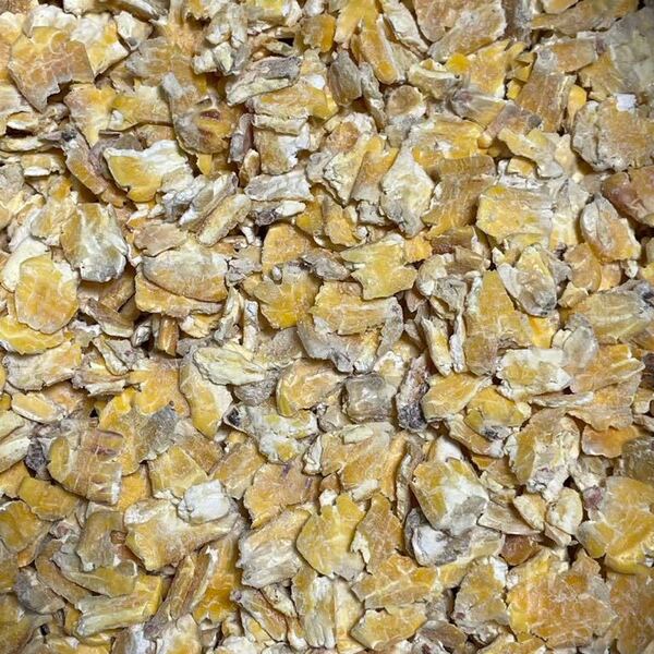 鯉釣り チヌ釣り 餌 アッペンコーン 1kg クズ粉一切無し