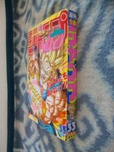 ドラゴンボール DRAGON BALL カラー表紙掲載 週刊少年ジャンプ１９９３年３３号 美品？ 孫悟空 孫悟飯 スラムダンク SLAM DUNK_画像10