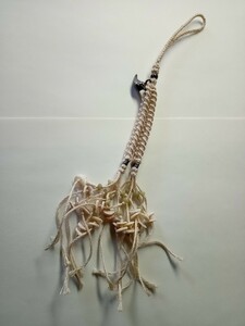  раса прикладное искусство серебряный птица ракушка ремешок 