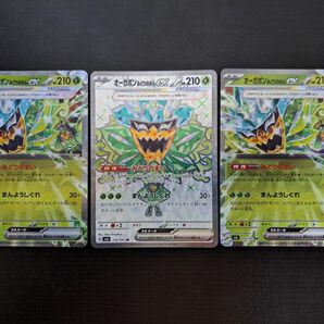 ポケモンカード 変幻の仮面　オーガポン みどりのめんex3枚セット