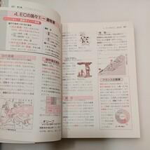 zaa-573♪学研版　中学「社会」学習事典 　予・復習から入試対策まで役だつ　 学習研究社 (編集)　学研 (1994/1/8)_画像6