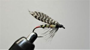 W6. Wilson's Trout Killer フックTMC5262#10BL/5P