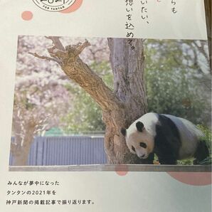 神戸新聞 縮刷版　タンタンの2021年　タンタン　旦旦　王子動物園　ジャイアントパンダ　パンダ