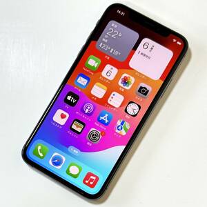 SIMフリー iPhone Xs スペースグレイ 64GB 3D922J/A バッテリー最大容量100％ アクティベーションロック解除済