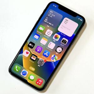 (極美品) SIMフリー iPhone X スペースグレイ 64GB MQAX2J/A バッテリー最大容量98％ アクティベーションロック解除済