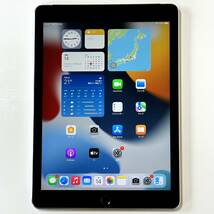 Apple iPad Air 2 スペースグレイ 64GB MGHX2J/A Wi-Fi+Cellular A1567 iOS15.8.2 アクティベーションロック解除済_画像1