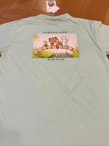 新品未使用タグ付き☆可愛い嘘のカワウソ　半袖Tシャツ　ミント　Lサイズ