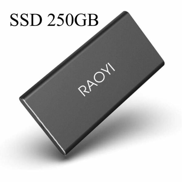 RAOYI 外付けSSD 250GB USB3.1 Gen2 ポータブルSSD 転送速度最大550MB/秒 PS4動作確認済 超薄型・超高速Type-A/Type-C 耐衝撃 防滴 黒