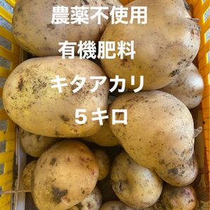 農薬不使用　有機肥料　キタアカリ　5キロ 