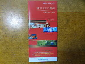 西武鉄道 株主優待券一式 （1000株以上）優待冊子、株主優待乗車証10枚 、西武ライオンズ内野指定席引換券5枚 　送料無料