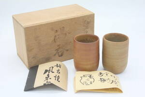  Echizen . hot water .2 piece set ceramics ceramic art tradition industrial arts fine art art TK108