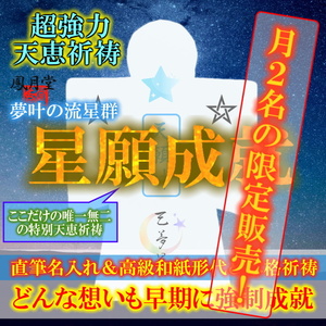 【星願成就 夢叶の流星群】お守り 願望成就 開運 金運 縁結び 奇跡引き寄せ 幸運 占い 形代