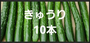 きゅうり10本