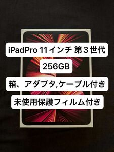 iPadPro11インチ 第3世代 256GB 箱、付属品あり 