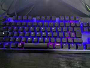 SteelSeries ゲーミングキーボード テンキーレス 有線 日本語配列 OmniPointスイッチ 有機ELディスプレイ搭載