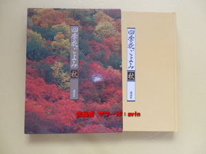 美品★四季花ごよみ ＜秋＞ 草木花の歳時記 大型本 講談社 