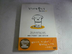 DVD[いつでも会える・君のためにできるコト：菊田まりこ]中古