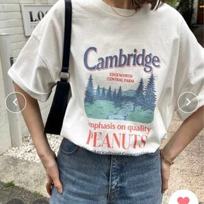 ディスコート　CamBridgeスーベニアビックTシャツ　ホワイト