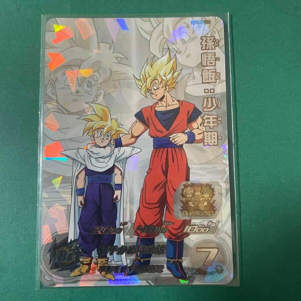 ドラゴンボールヒーローズ　孫悟飯少年期