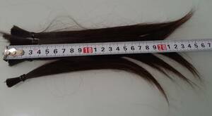 10代　約25cm 約29g　髪束 髪の毛【1494】