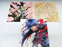 ◆(TH) 劇場版 X エックス レーザーディスク LD 2枚組 BOXセット THEIR DESTINY WAS FOREORFAINED 1999. CLAMP アニメ_画像2