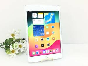 〇【美品】au iPad mini 第5世代 Wi-Fi+Cellularモデル 256GB A2124(MUXD2J/A) シルバー 〇判定 動作品