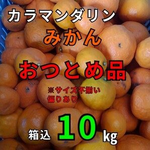 送料込！！超特価！！愛媛県中島産カラマンダリンおつとめ品箱込10㎏(賞味9㌔+保証量0.5㌔)産地直送①の画像1