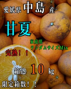 15箱限定☆送料込！！今季最後の品種！愛媛県中島産甘夏箱込10㎏(賞味9.5㌔)家庭用サイズ不揃い・産地直送 ④