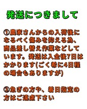 os愛媛県産河内晩柑箱込10㎏(賞味9.5㌔)家庭用サイズ不揃い・産地直送 ①_画像5