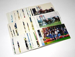  green shop Re# horse racing Sara bread life photograph 120 sheets together Heisei era race t/bnik/5-467/6-2#60